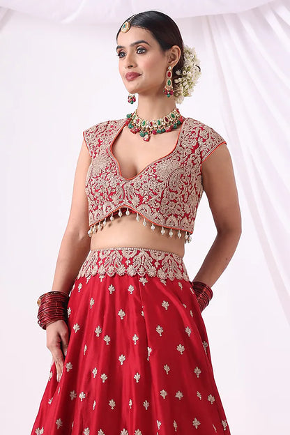Maroon Banarasi Chanderi Zari Embroidered Lehenga Set