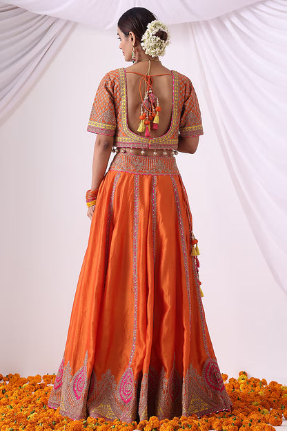 Orange Banarasi Chanderi Zari Embroidered Lehenga Set