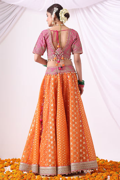 Orange Banarasi Khadi Chanderi Zari Embroidered Lehenga Set