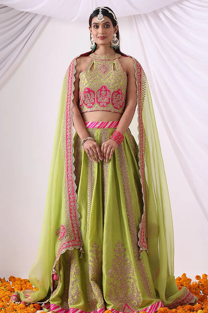 Parrot Green Banarasi Chanderi Zari Embroidered Lehenga Set