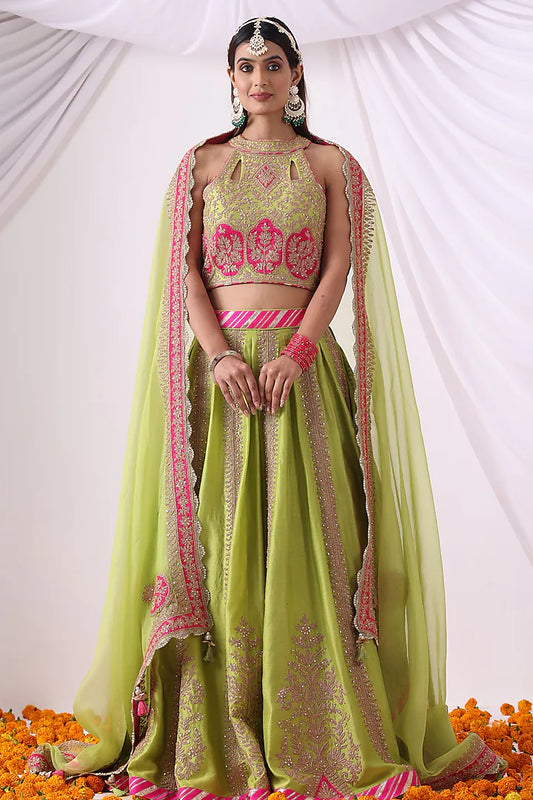 Parrot Green Banarasi Chanderi Zari Embroidered Lehenga Set