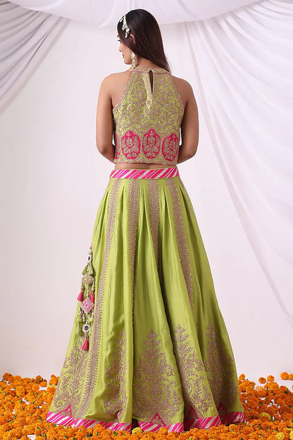 Parrot Green Banarasi Chanderi Zari Embroidered Lehenga Set
