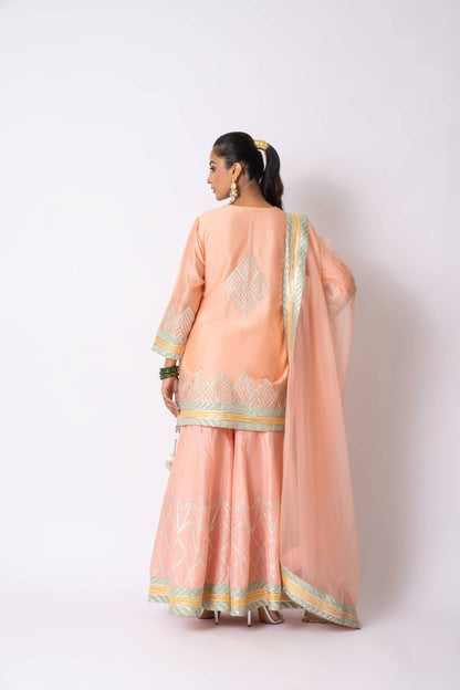 Pink Gharara Set