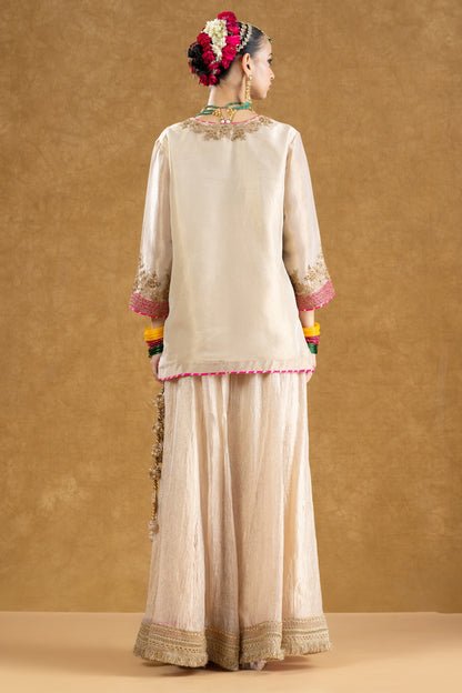 Ivory Banarasi Tissue Kurta Sharara Set with Dori Sequin Hand Work