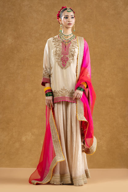 Ivory Banarasi Tissue Kurta Sharara Set with Dori Sequin Hand Work