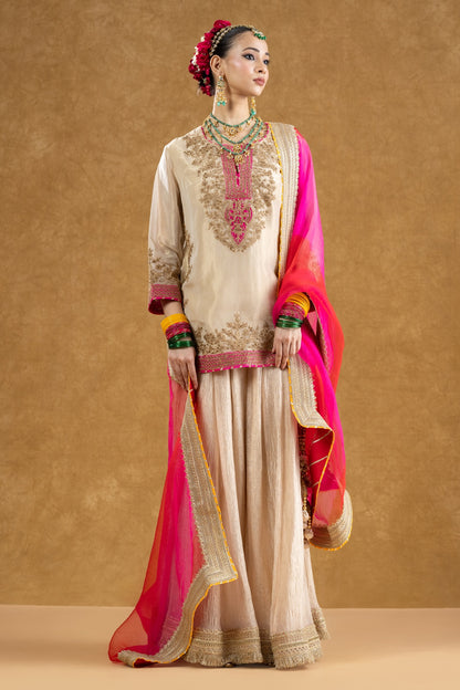 Ivory Banarasi Tissue Kurta Sharara Set with Dori Sequin Hand Work
