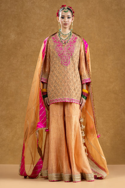 Peach Banarasi Tissue Kurta Sharara Set with Dori Sequin Hand Work