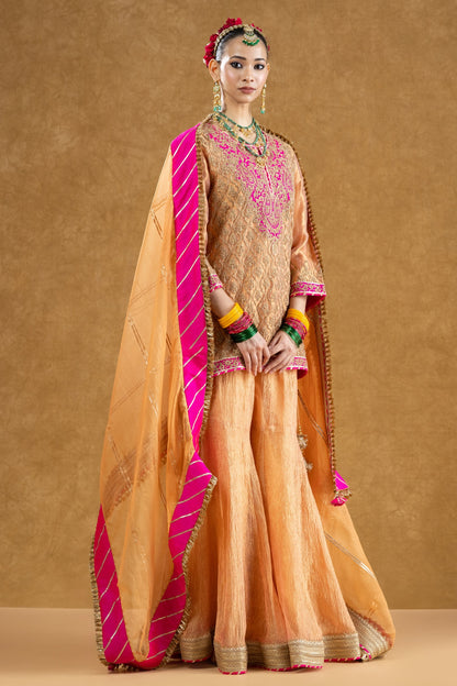 Peach Banarasi Tissue Kurta Sharara Set with Dori Sequin Hand Work