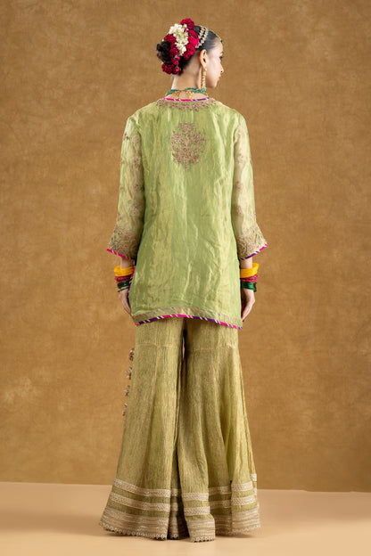 Pista Green Tissue Kurta Sharara Set with Dori Kasab Hand Work