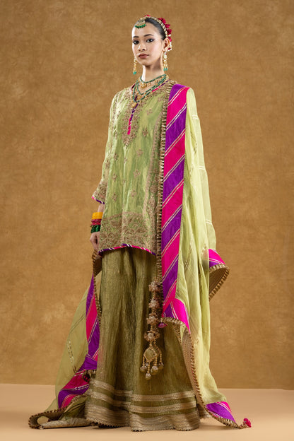 Pista Green Tissue Kurta Sharara Set with Dori Kasab Hand Work
